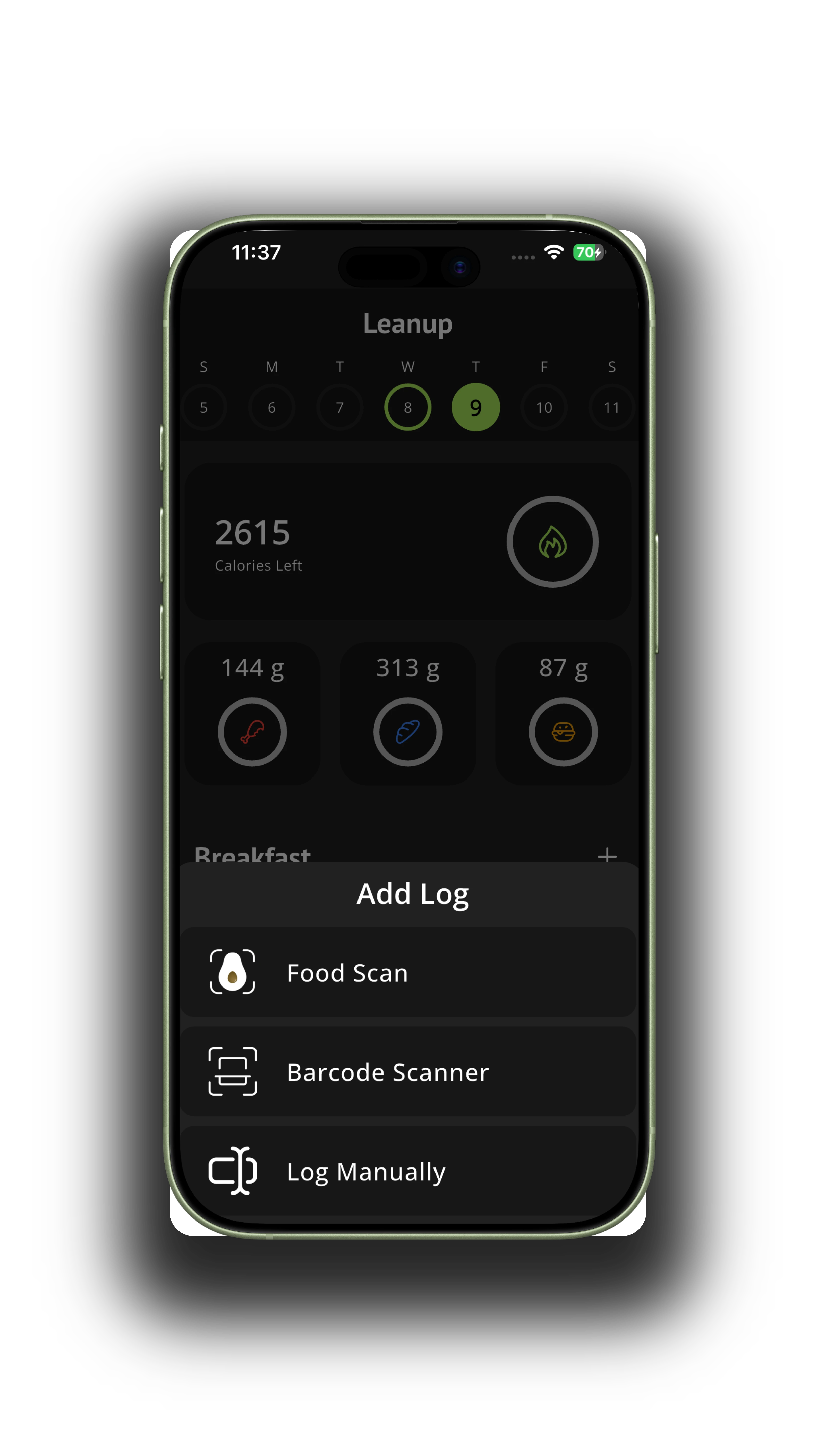 Scanning food with Leanup